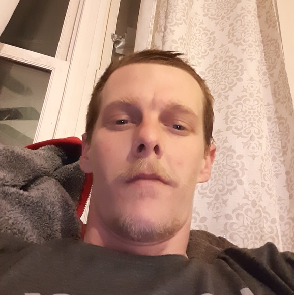 Meet your Posher, David - Picture 1 of 1